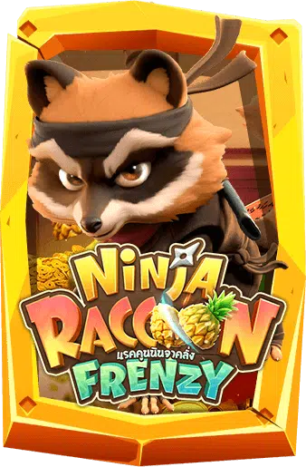 ninja-raccoon-frenzy.png